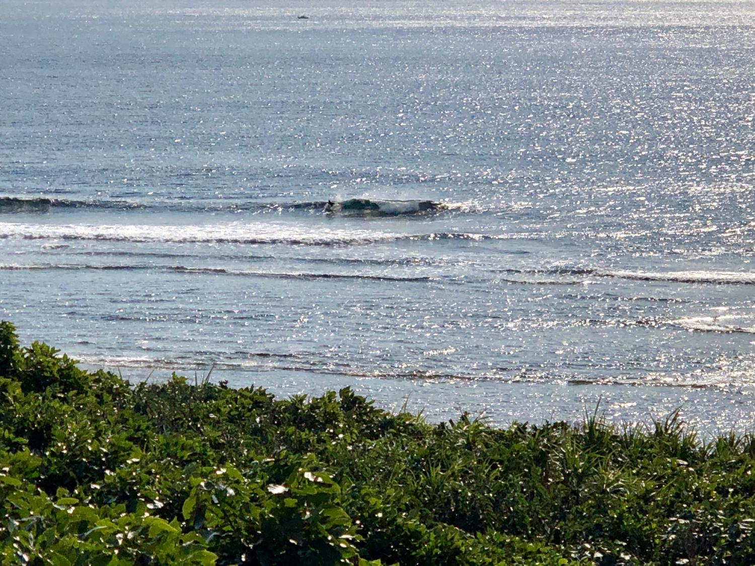 2019 Jan. 29 suicide point wave information