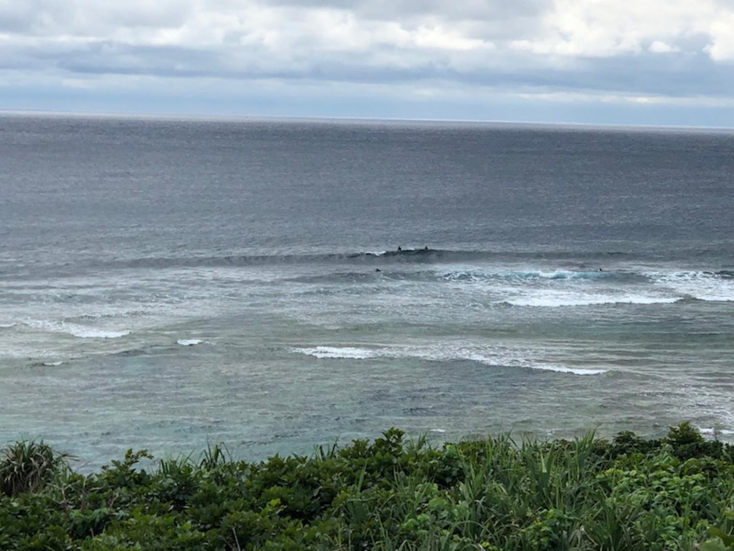 2019 Feb. 11th suicide point wave information