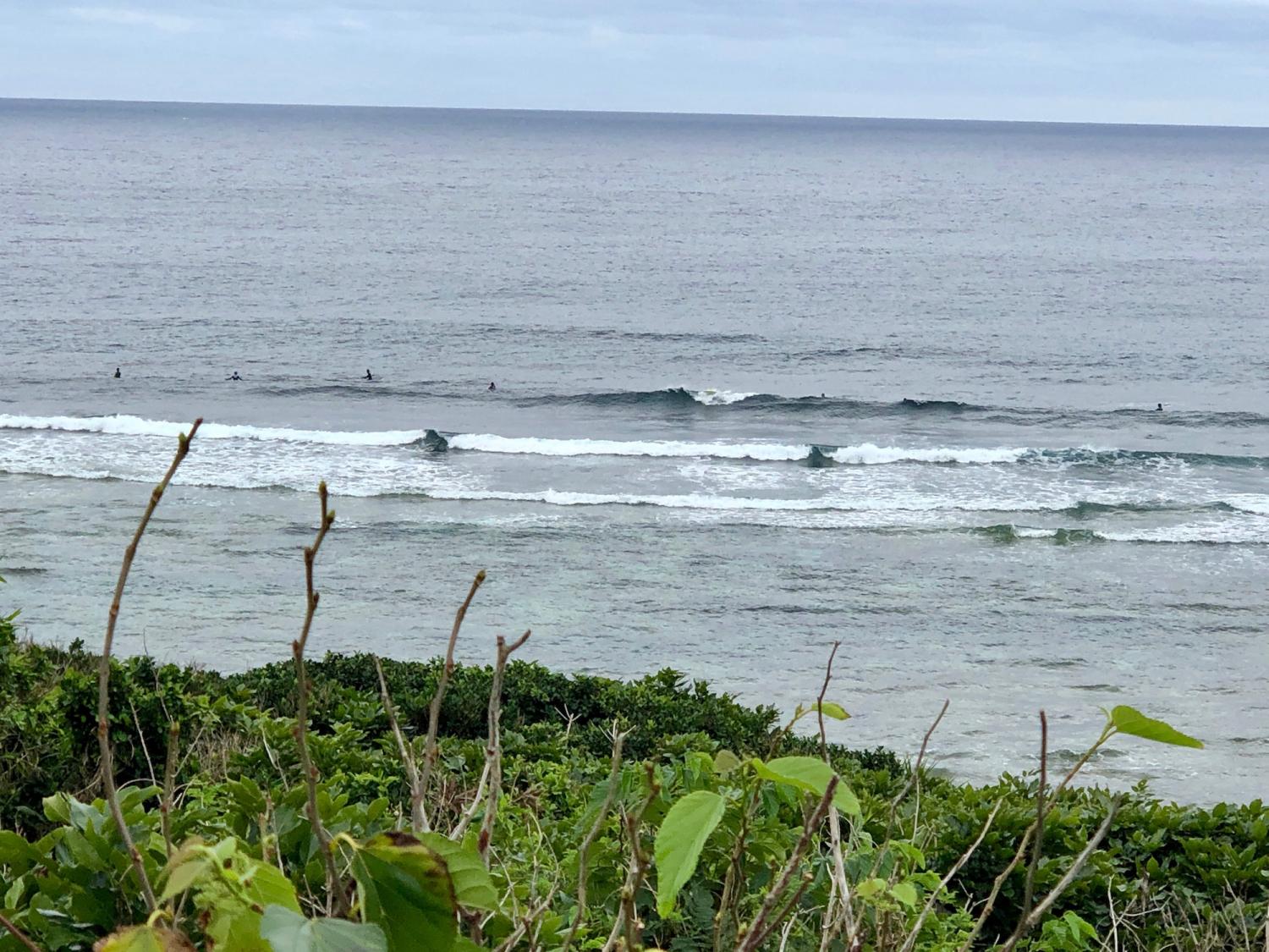 2019 Feb. 12th suicide point wave information