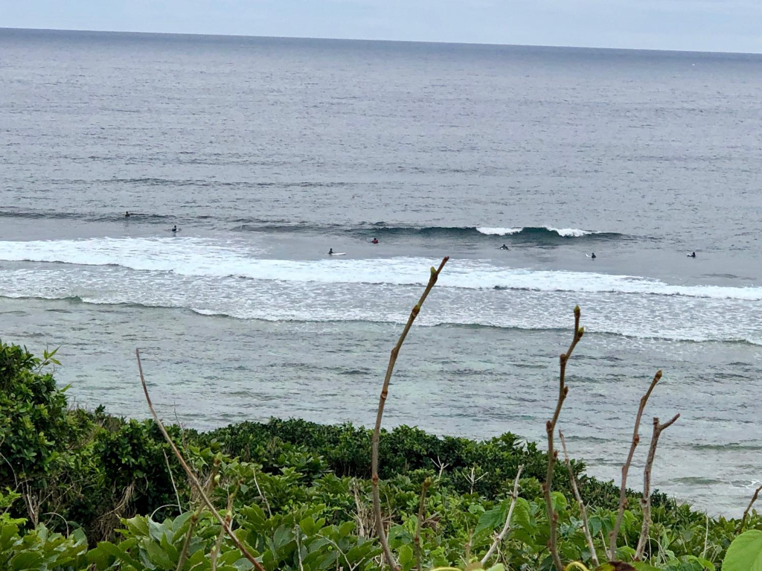 2019 Feb. 12th suicide point wave information 2