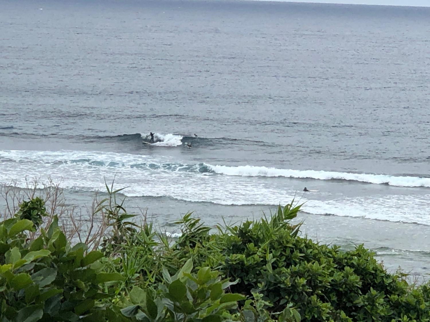 2019 Feb. 12th suicide point wave information 3