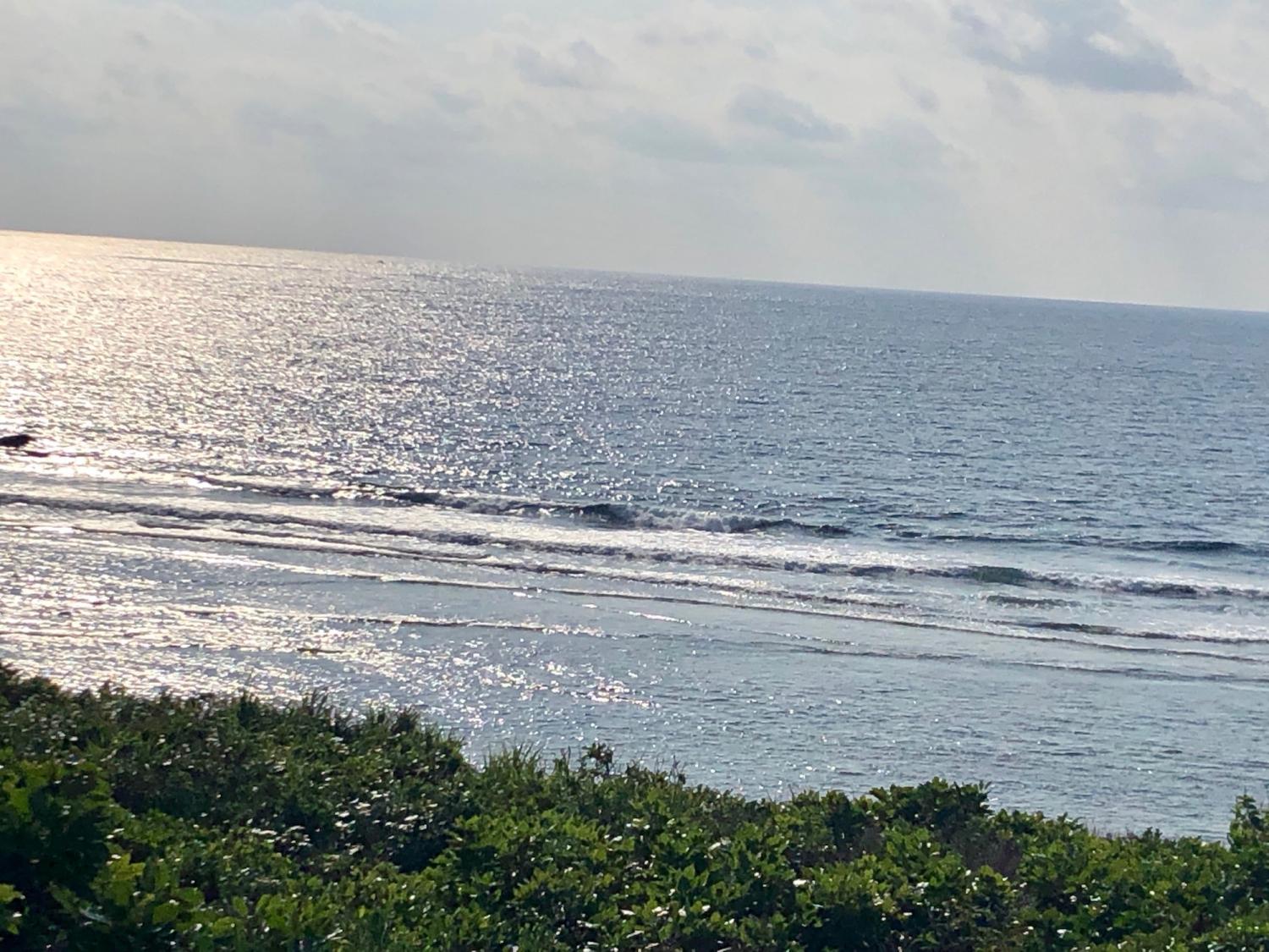2019 Feb. 14th suicide point wave information
