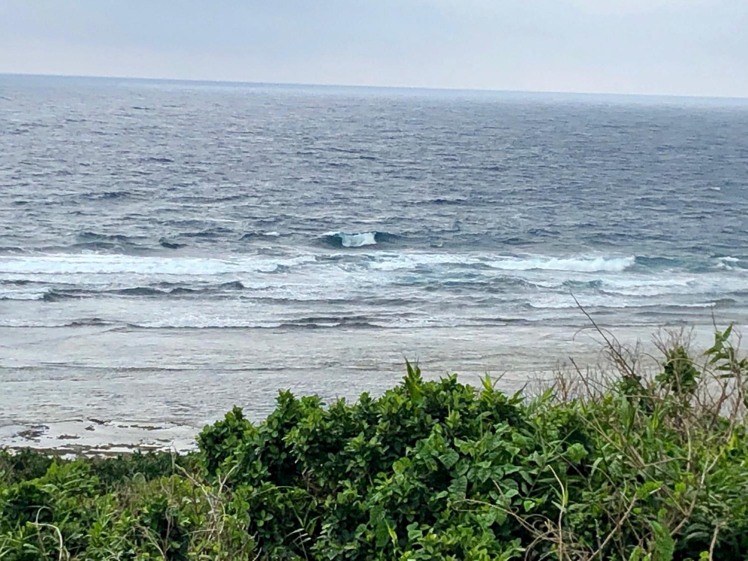 2019 Feb. 15th suicide point wave information