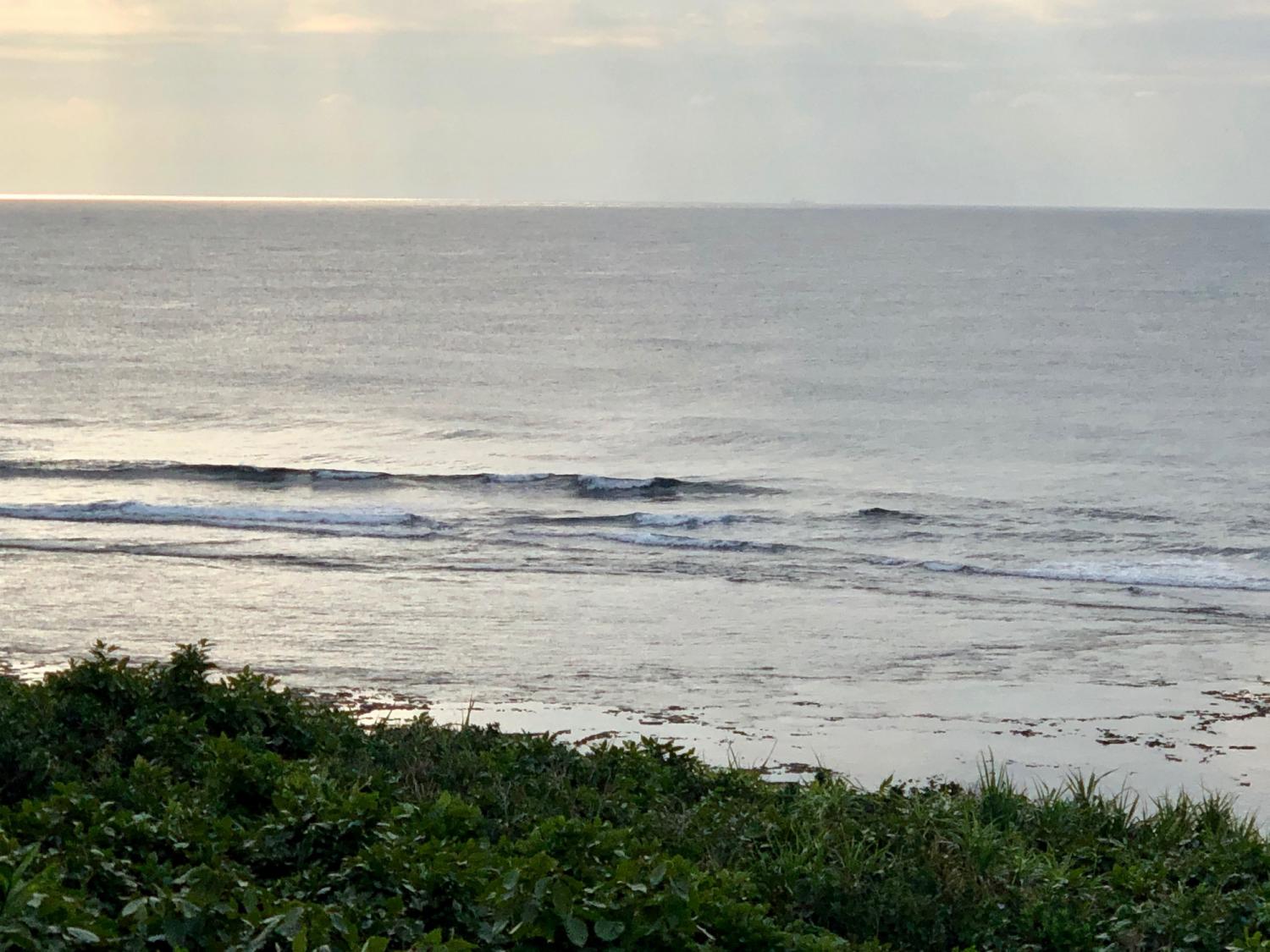 2019 Feb. 16th suicide point wave information