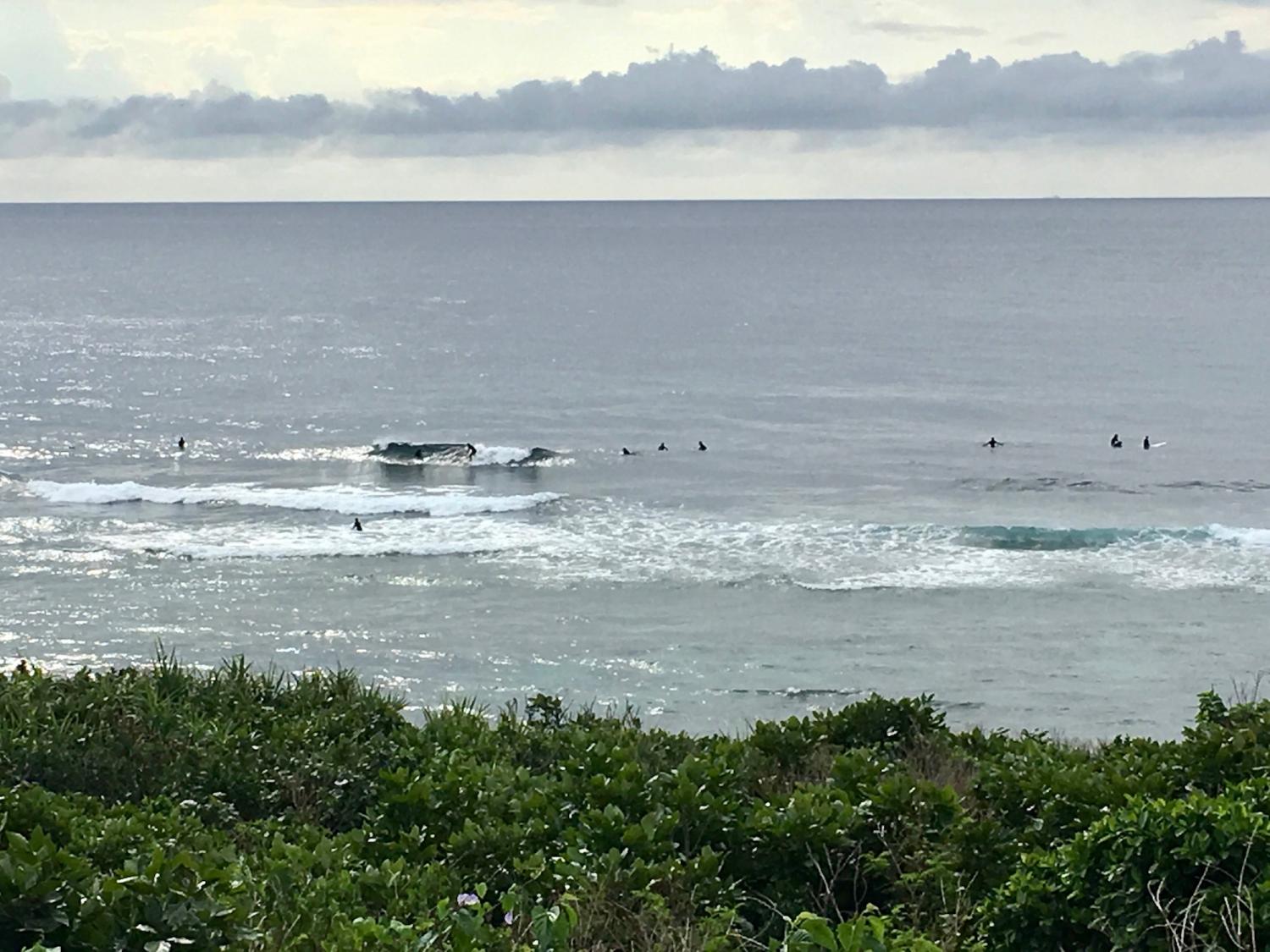 2019 Feb. 21th suicide point wave information