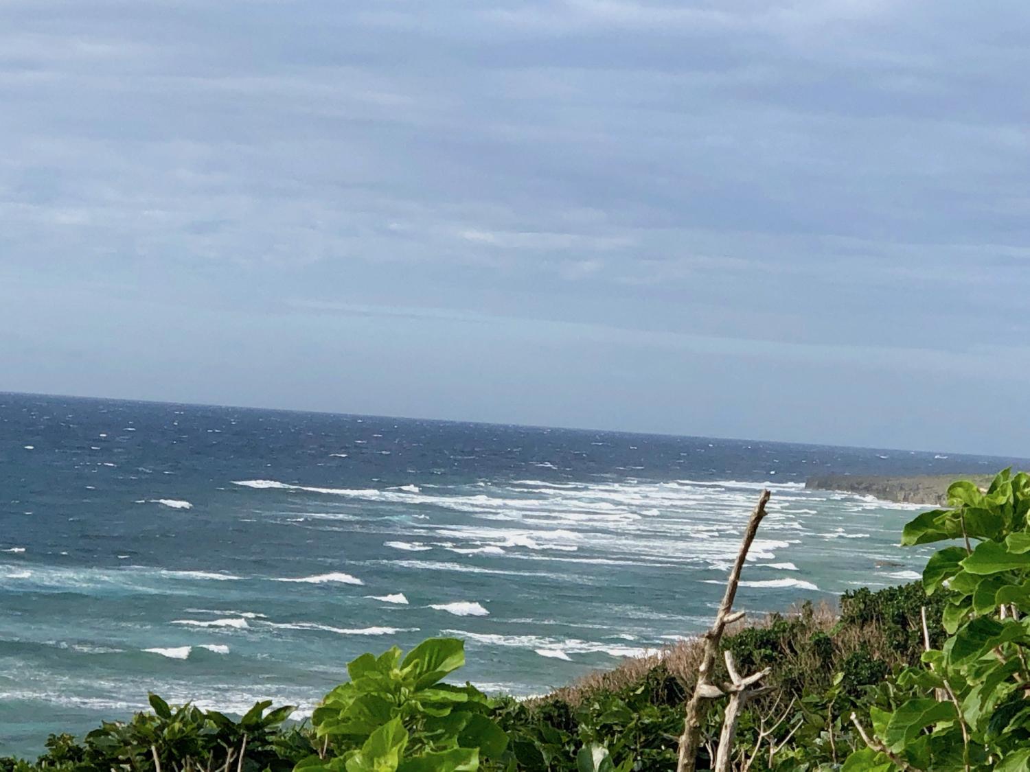 2019 Feb. 22th suicide point wave information