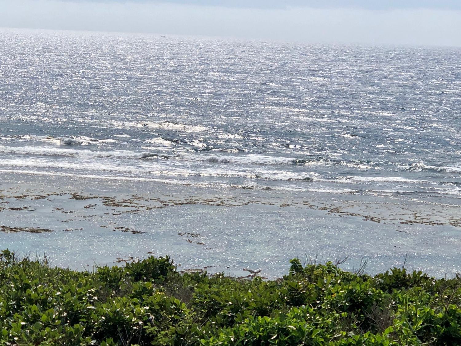 2019 Mar. 3rd suicide point wave information