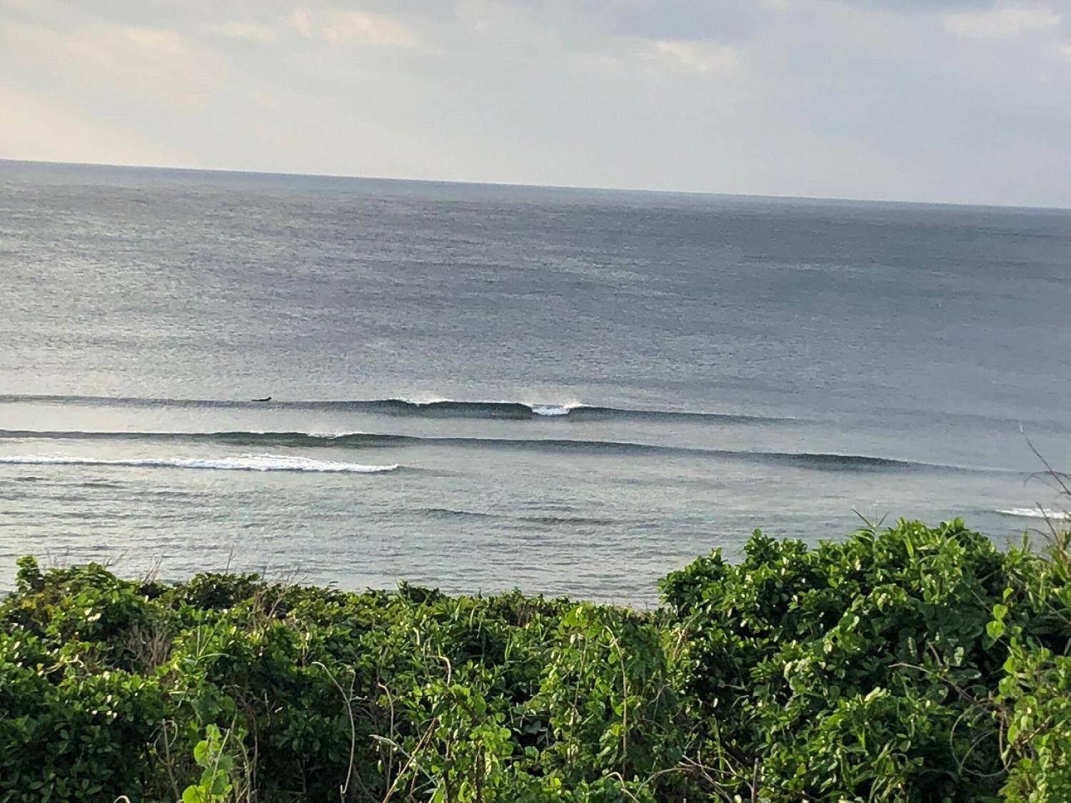 2019 Mar. 4th suicide point wave information