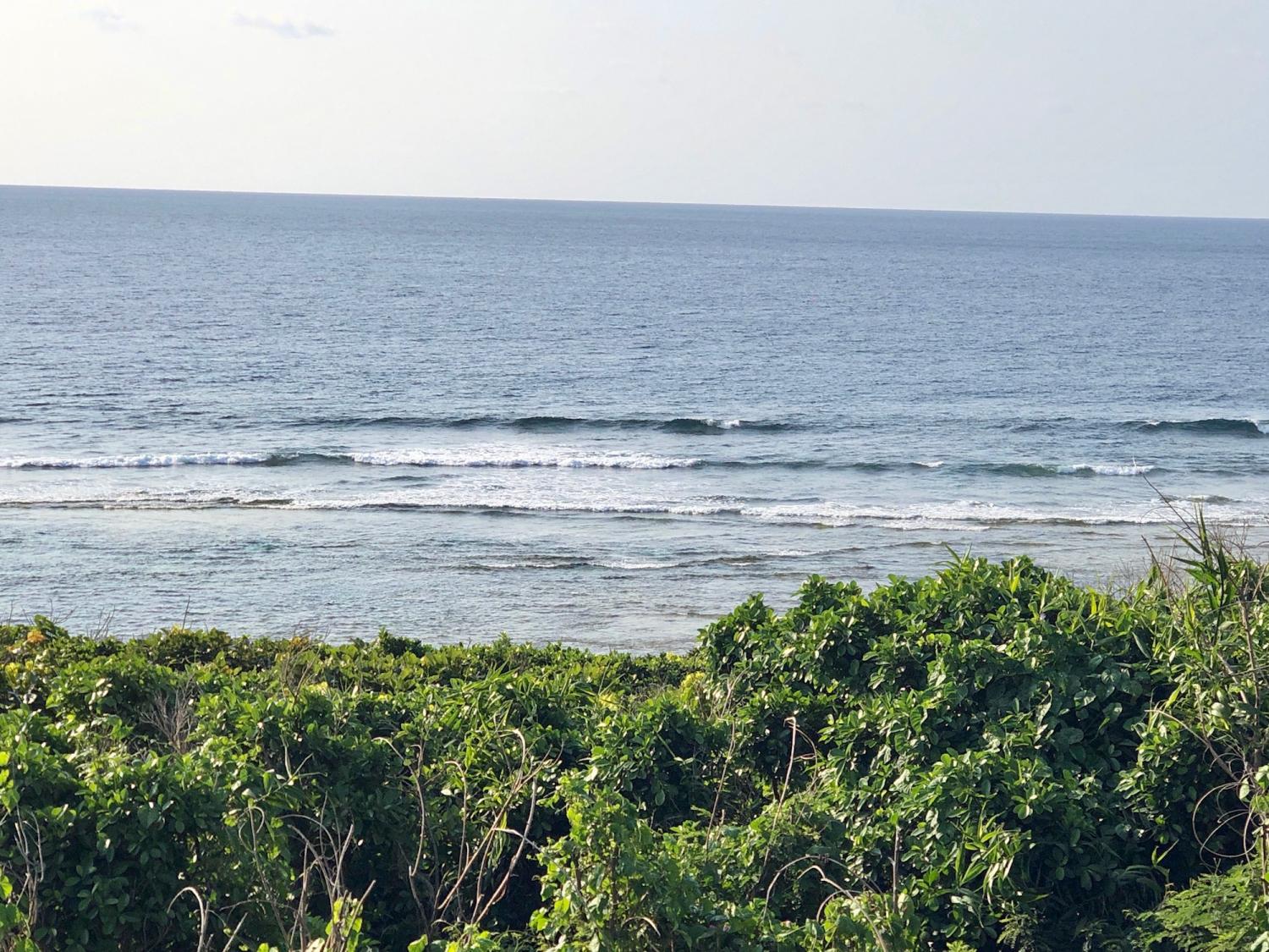 2019 Mar. 14th suicide point wave information
