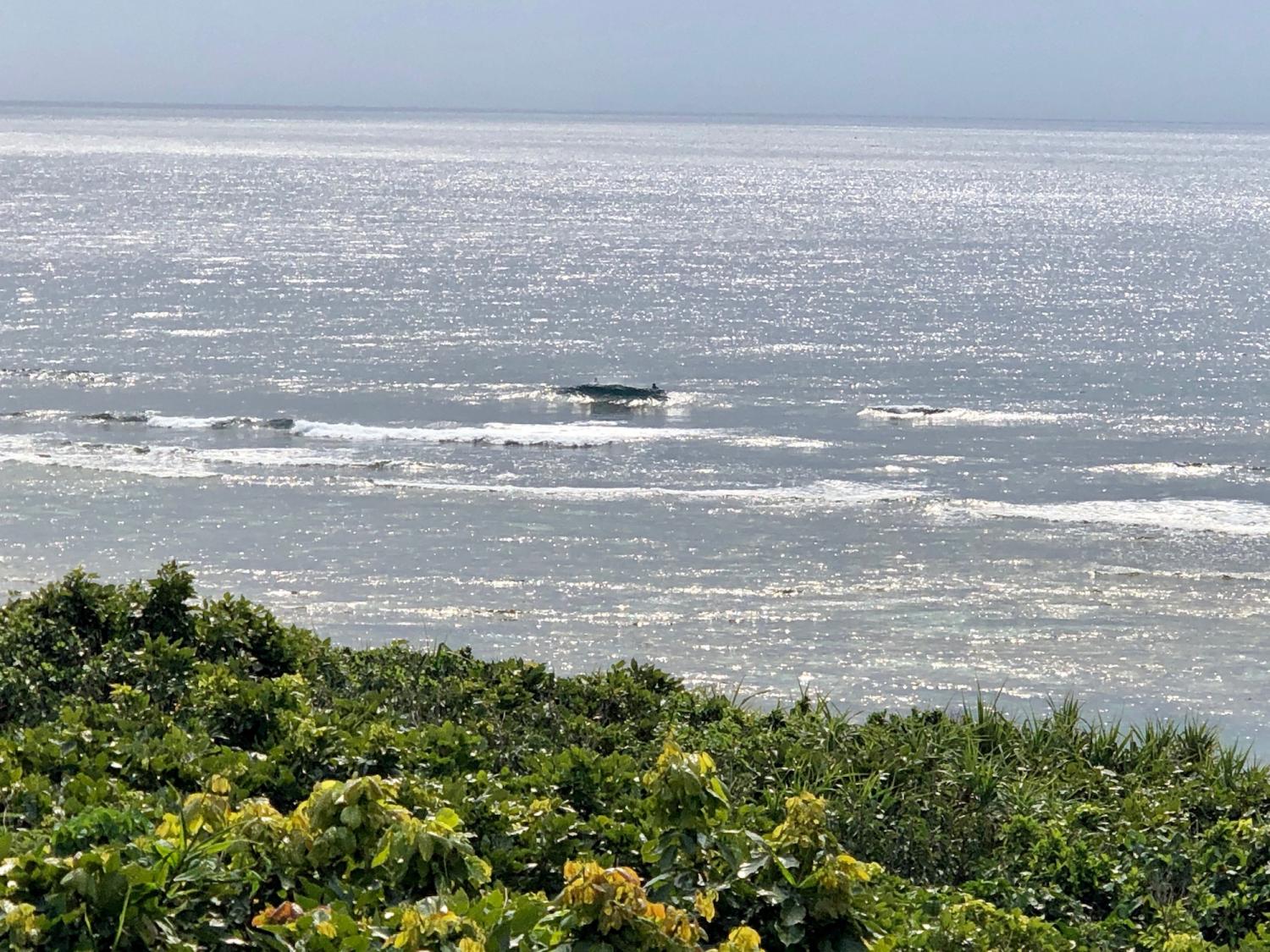2019 Mar. 16th suicide point wave information