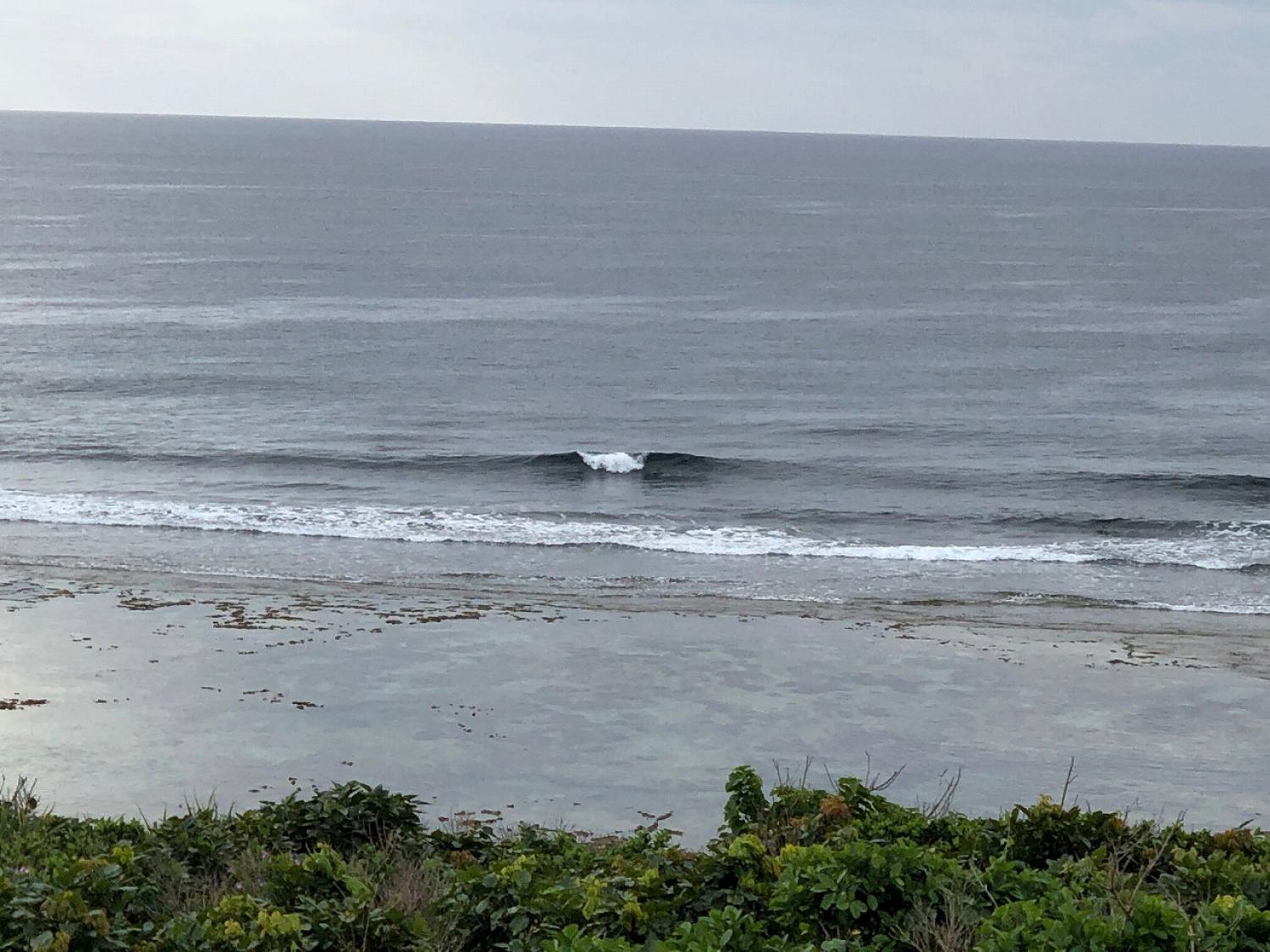 2019 Mar. 17th suicide point wave information