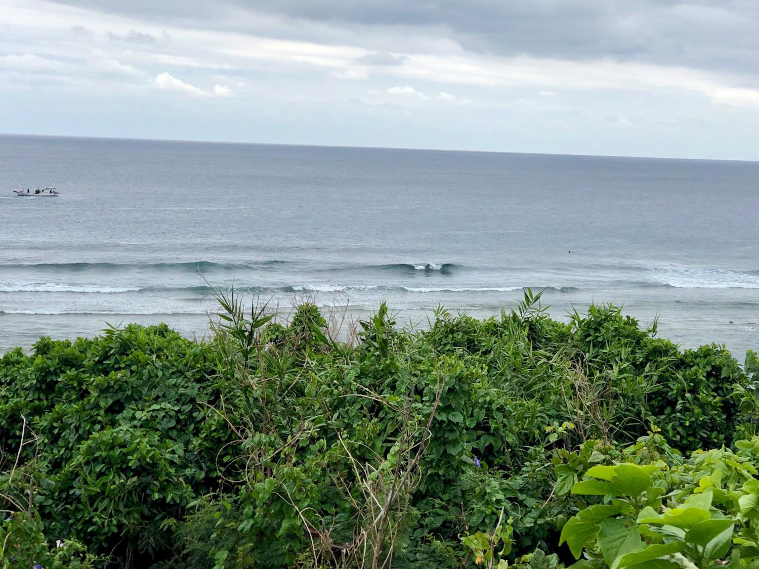 2019 Mar. 23th suicide point wave information