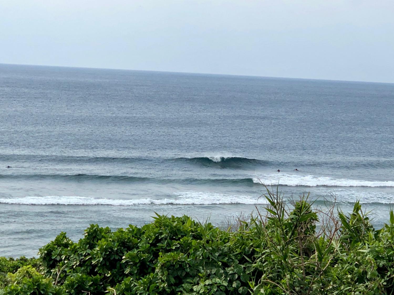 2019 Mar. 24th suicide point wave information