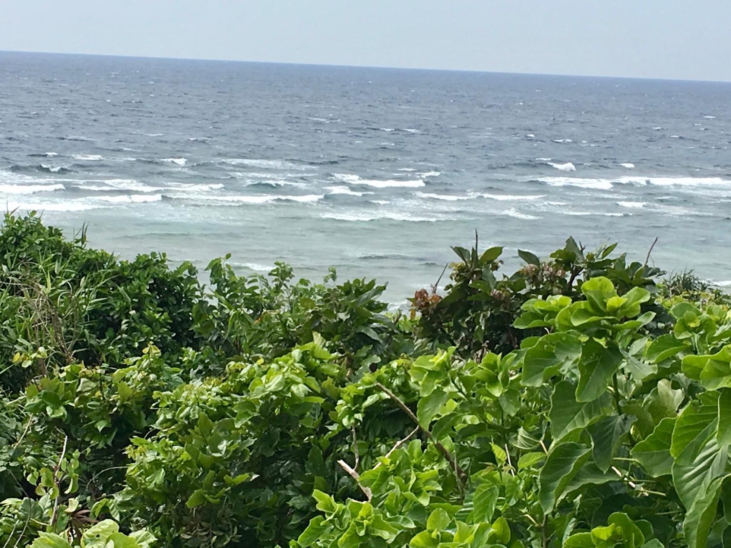 2019 Mar. 25th suicide point wave information