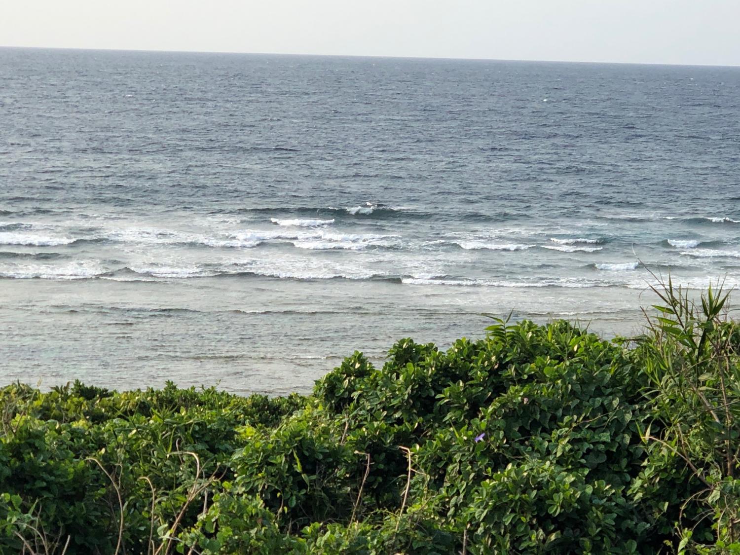 2019 Mar. 28th suicide point wave information