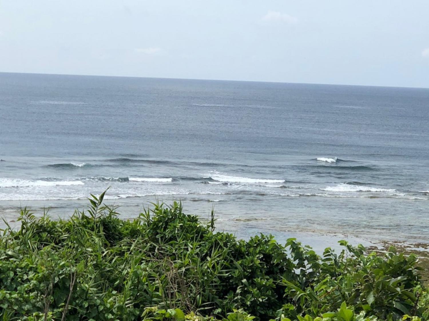 2019 Mar. 30th suicide point wave information