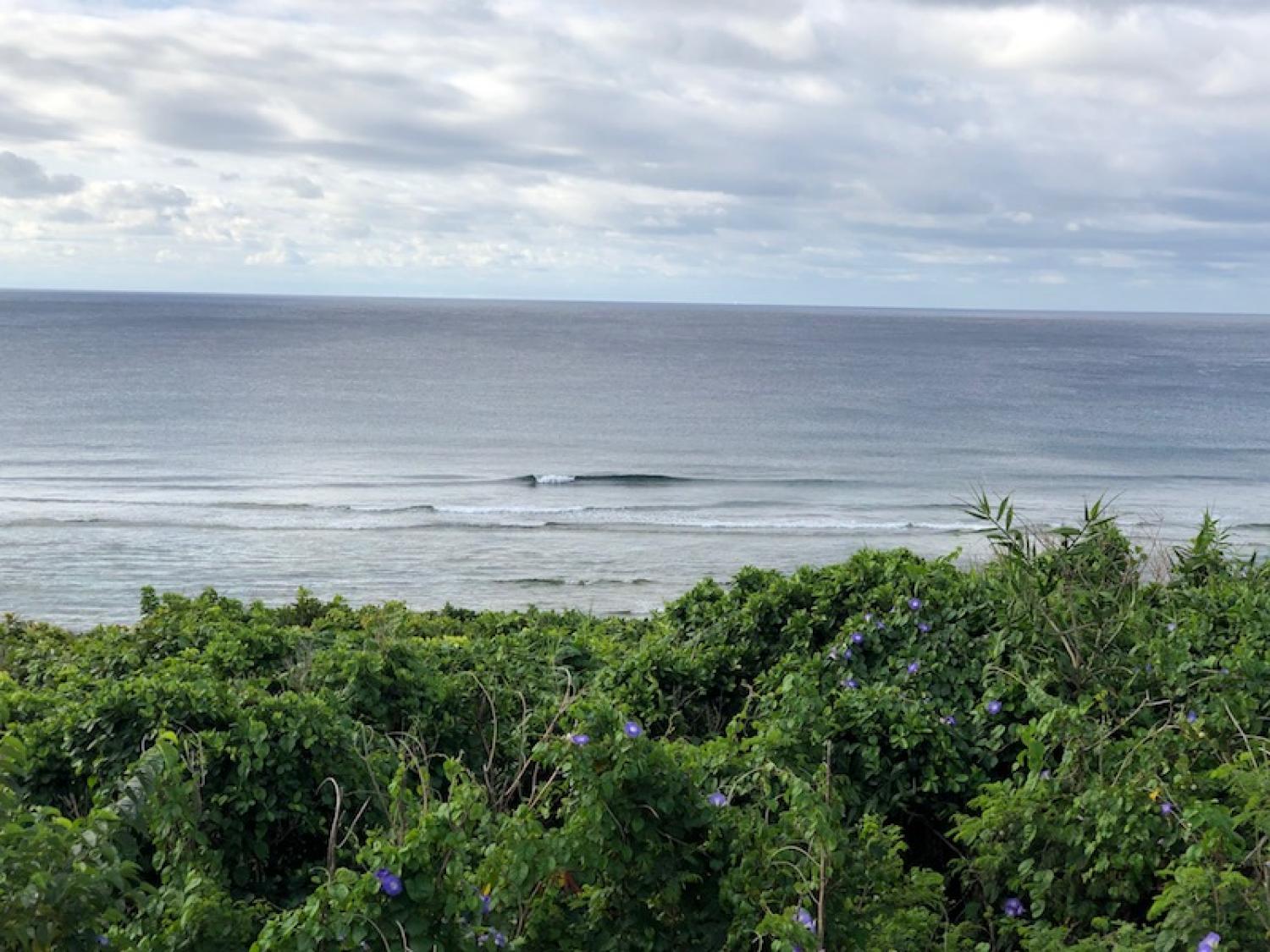 2019 Apr. 12th suicide point wave information