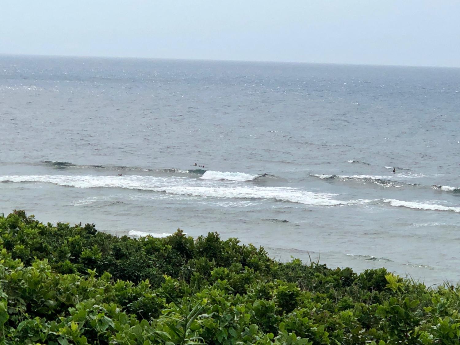 2019 Apr. 25th suicide point wave information