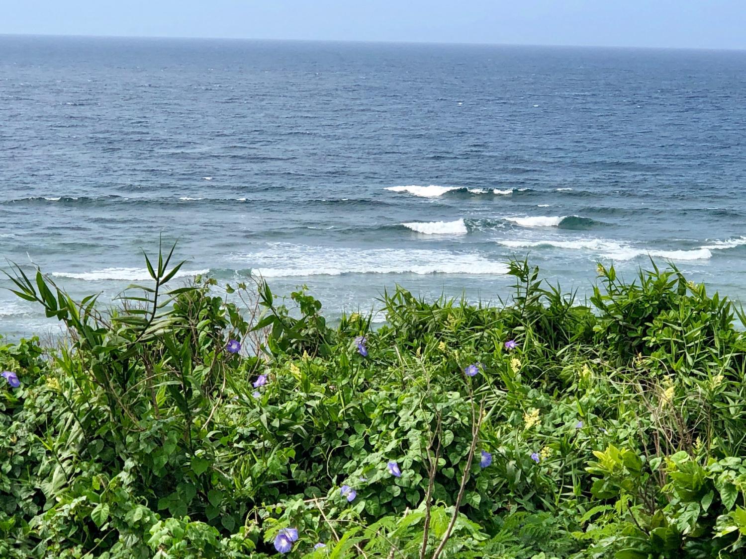 4月25日（木）スーサイド波情報 2