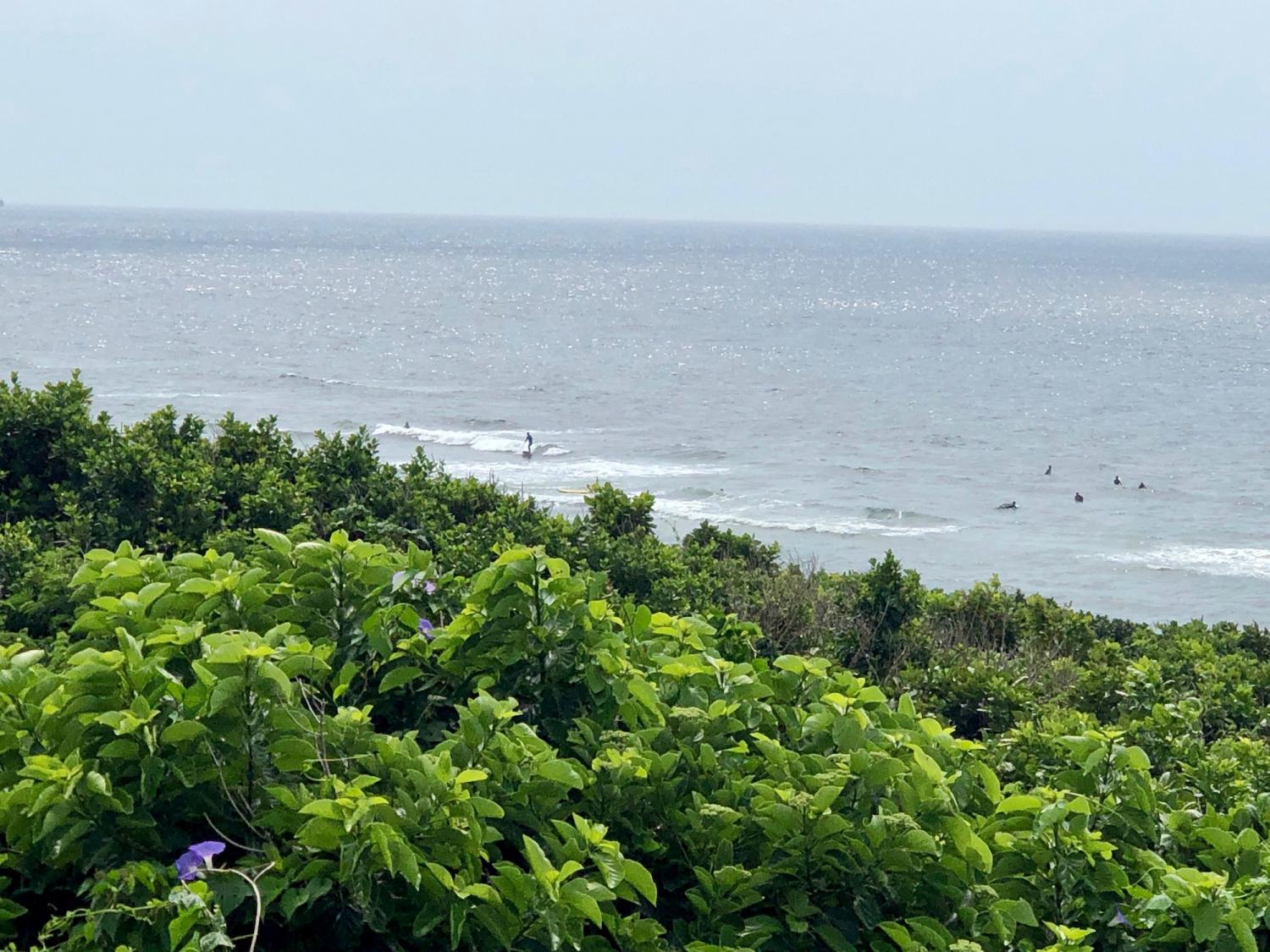 4月25日（木）スーサイド波情報 3