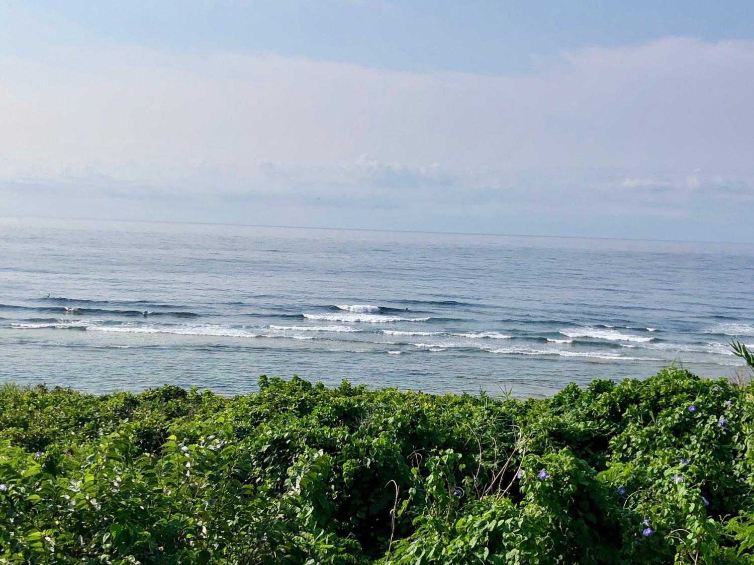 2019 Apr. 26th suicide point wave information