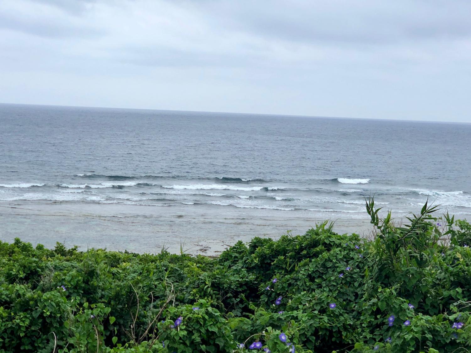 2019 Apr. 28th suicide point wave information