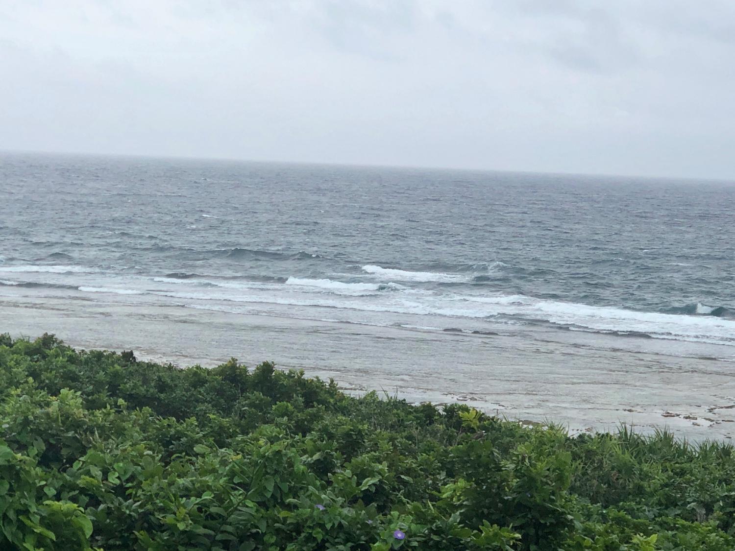 4月29日（月）スーサイド波情報 3