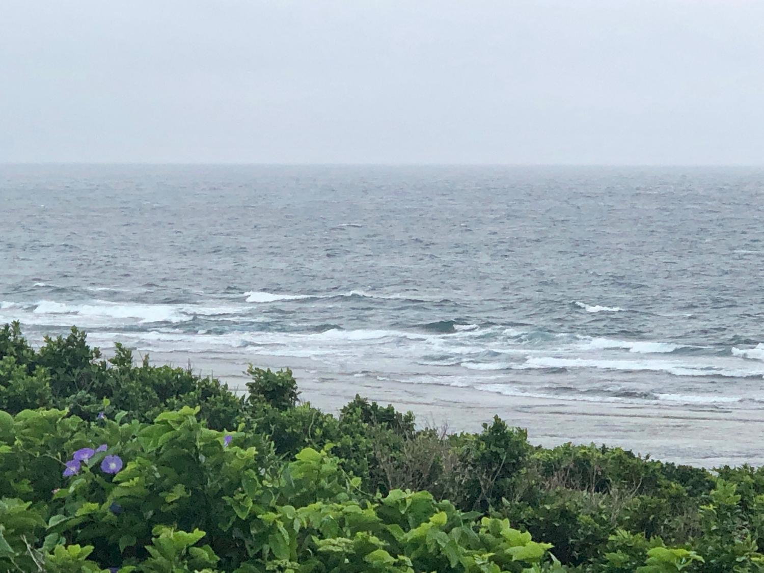 4月29日（月）スーサイド波情報 5