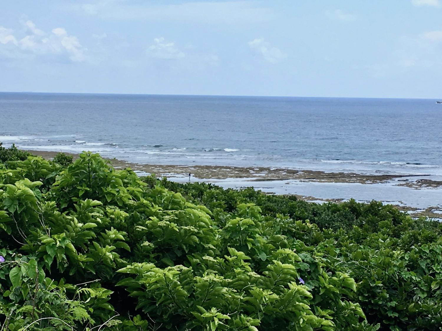 2019 may. 5th suicide point wave information