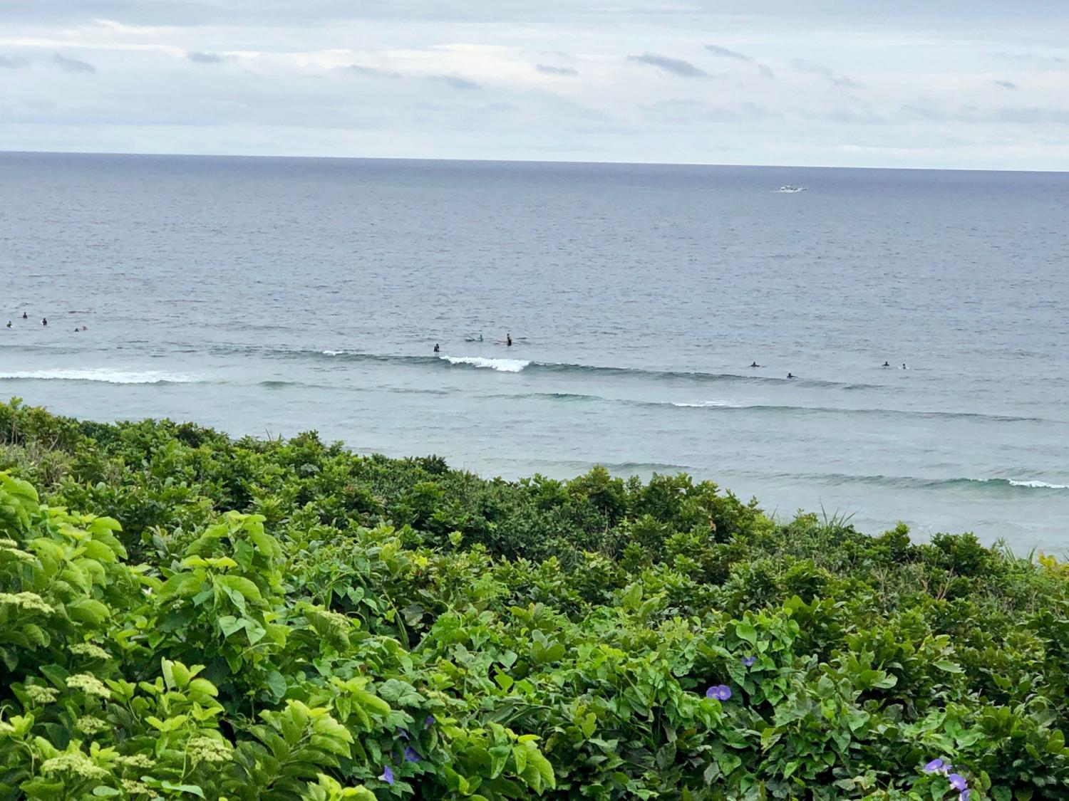 2019 may. 10th suicide point wave information 2