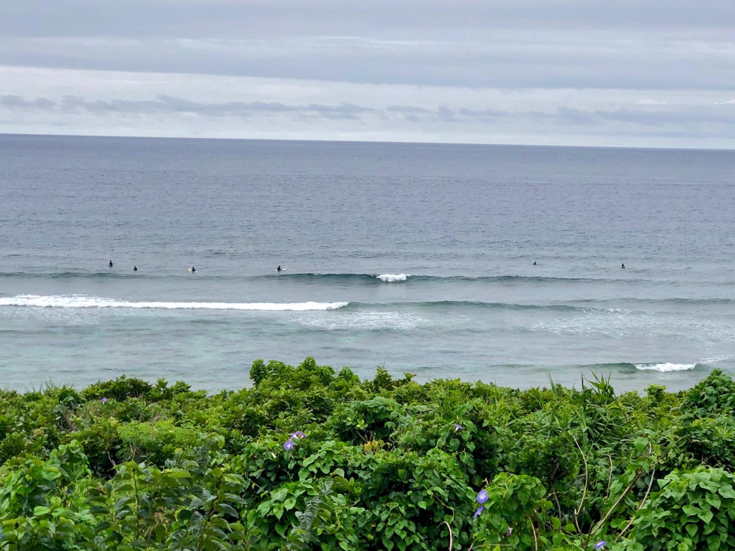 2019 may. 10th suicide point wave information 3