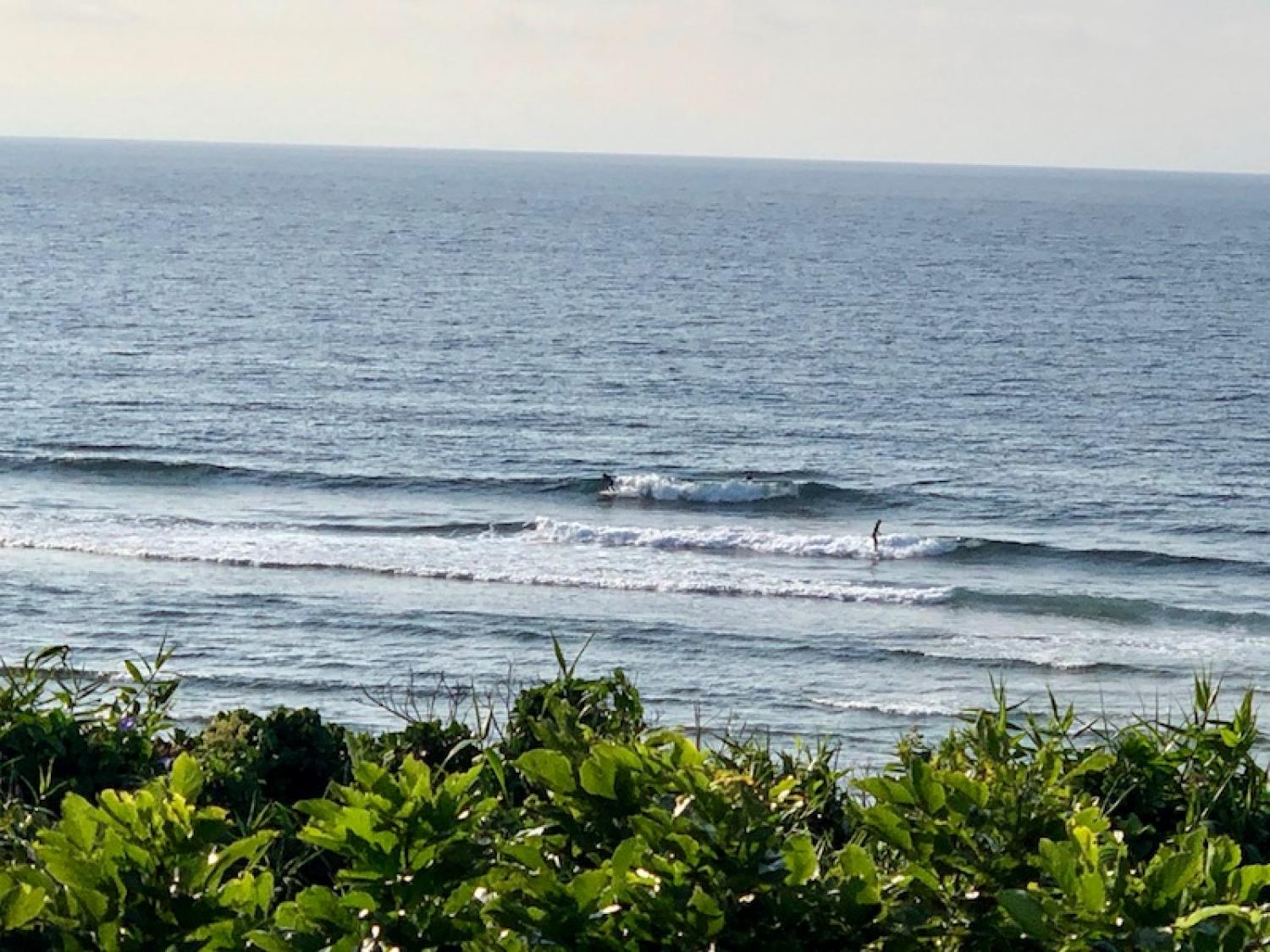 2019 may. 11th suicide point wave information