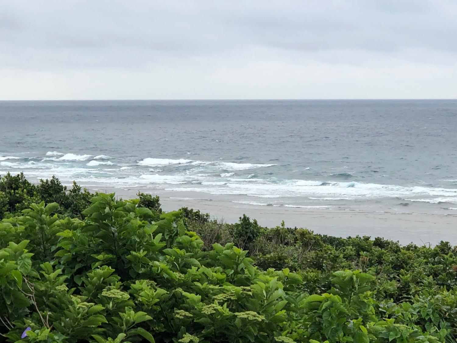 2019 may. 14th suicide point wave information