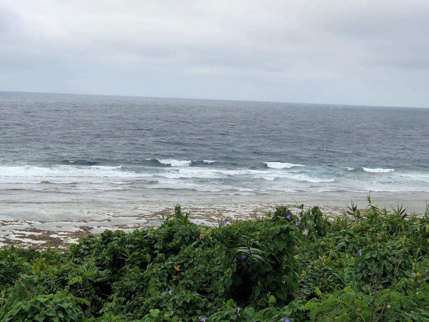 5月14日（火）スーサイド波情報 2