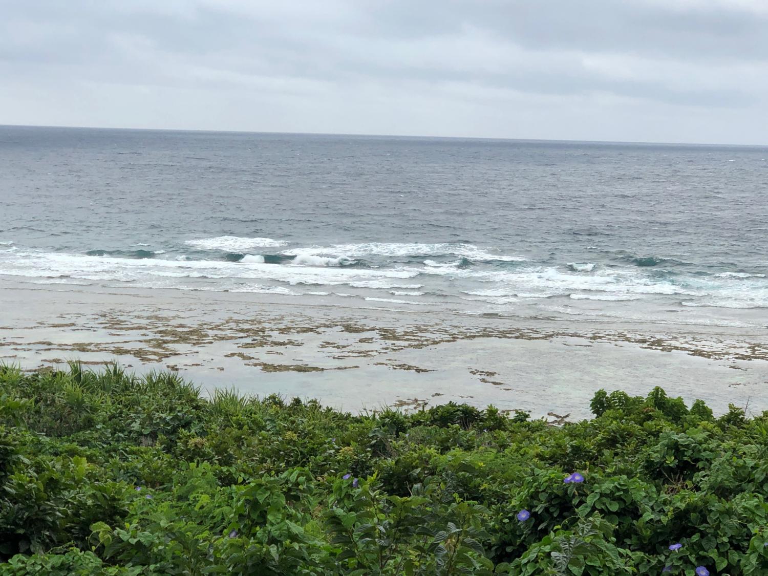 5月14日（火）スーサイド波情報 3