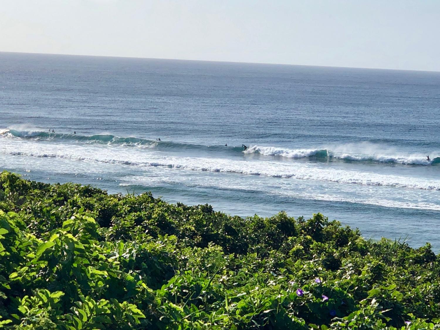 2019 may. 21th suicide point wave information