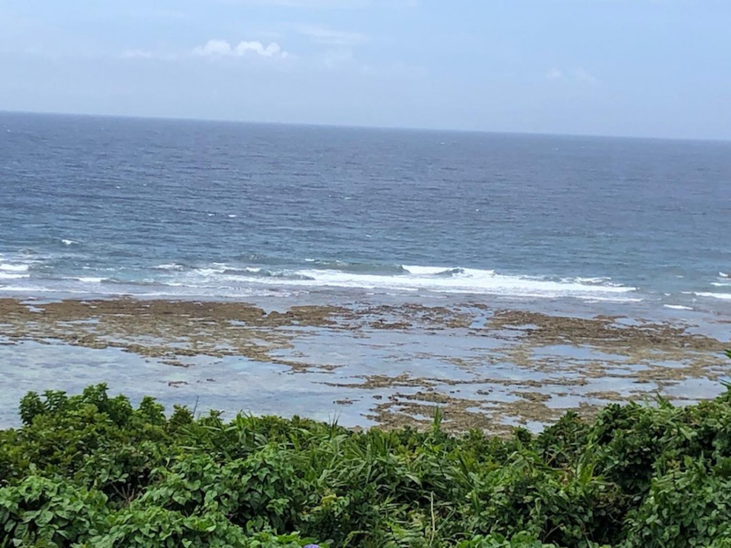 2019 June 2nd suicide point wave information