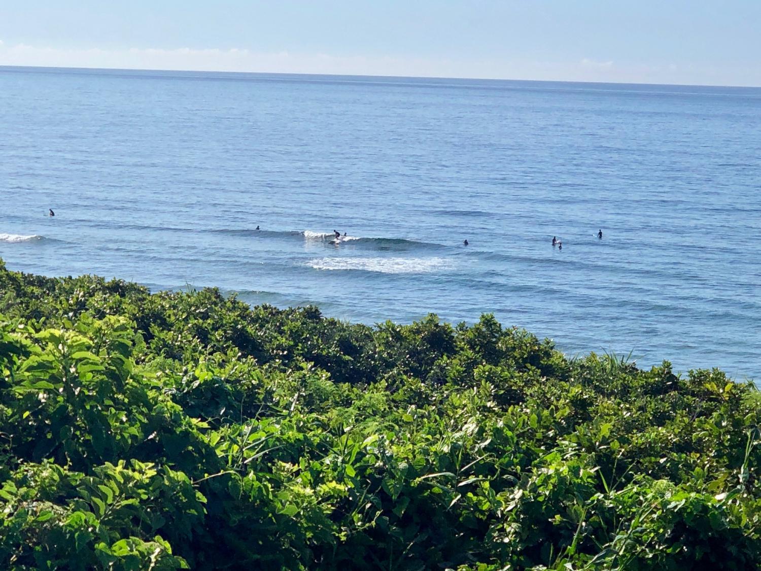 2019 June 6th suicide point wave information