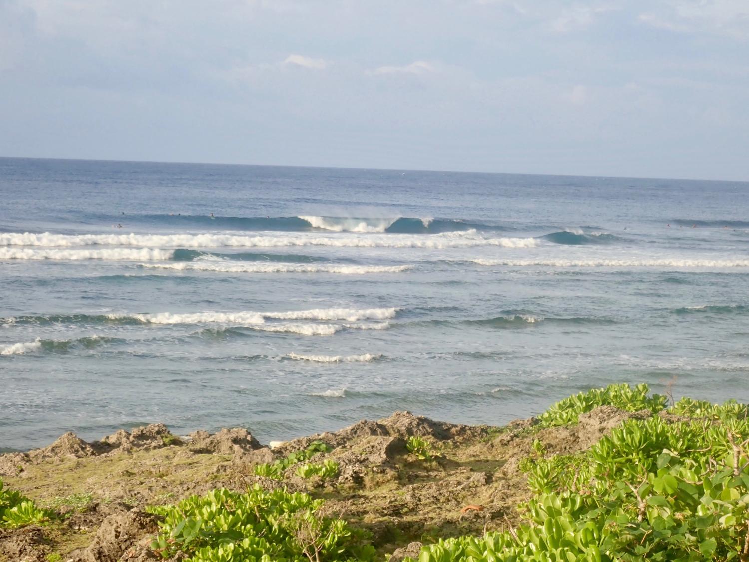 2019 June 15th suicide point wave information 5