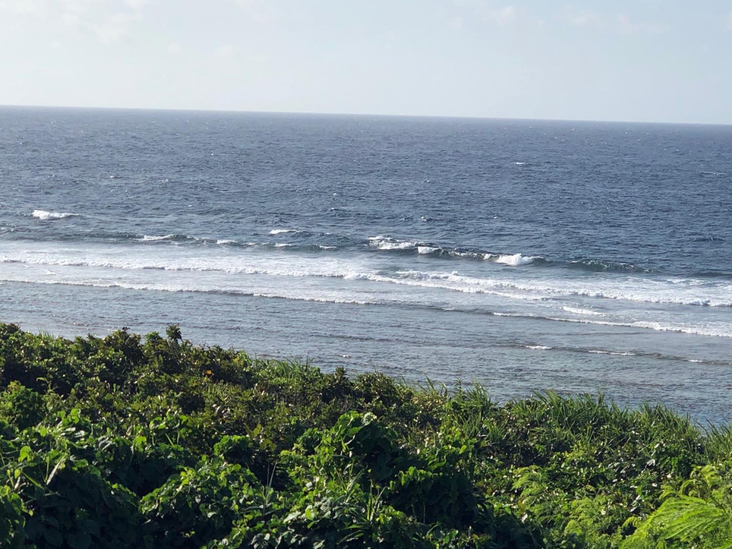2019 July 14th suicide point wave information