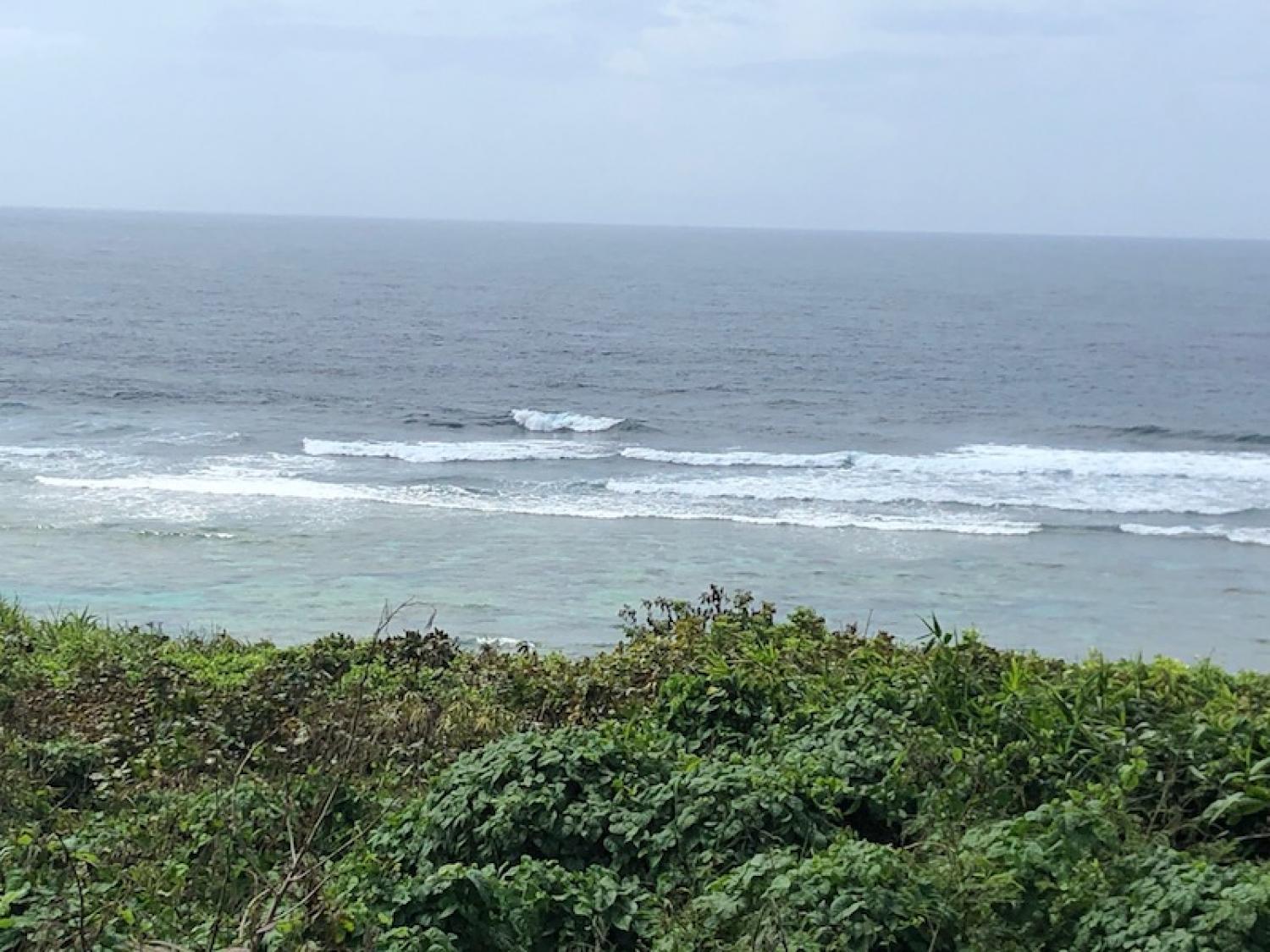 2019 July 21th suicide point wave forecast