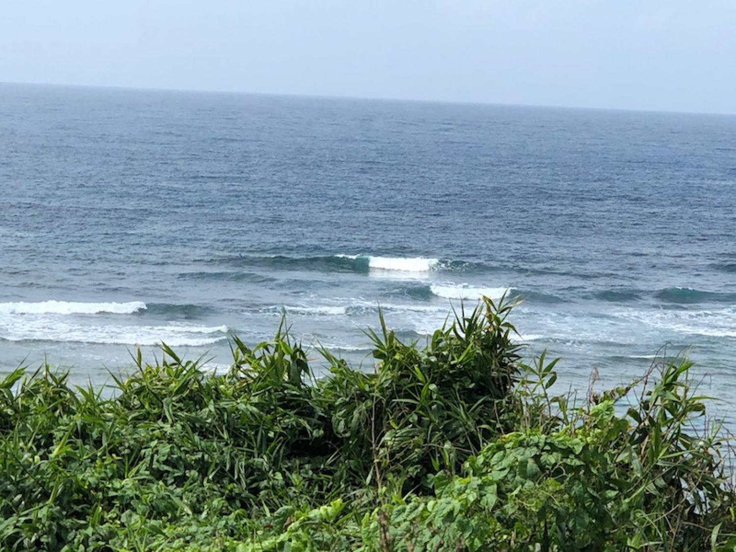 7月21日（日）スーサイド波情報 2