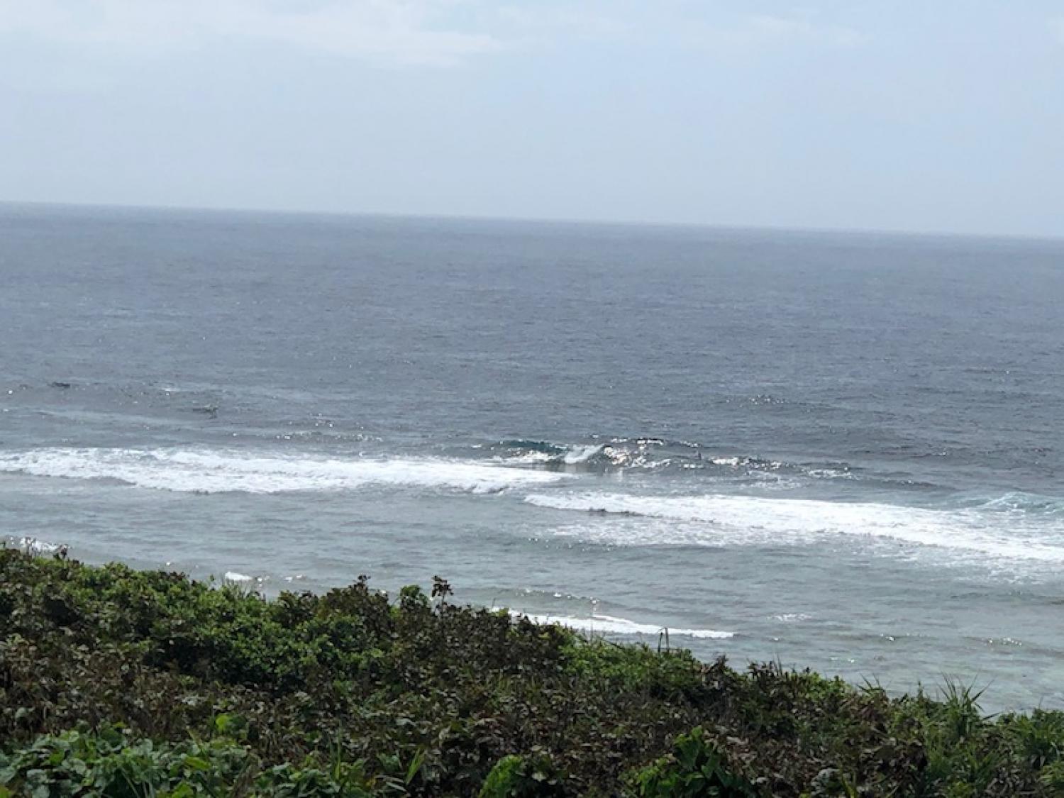 7月21日（日）スーサイド波情報 3