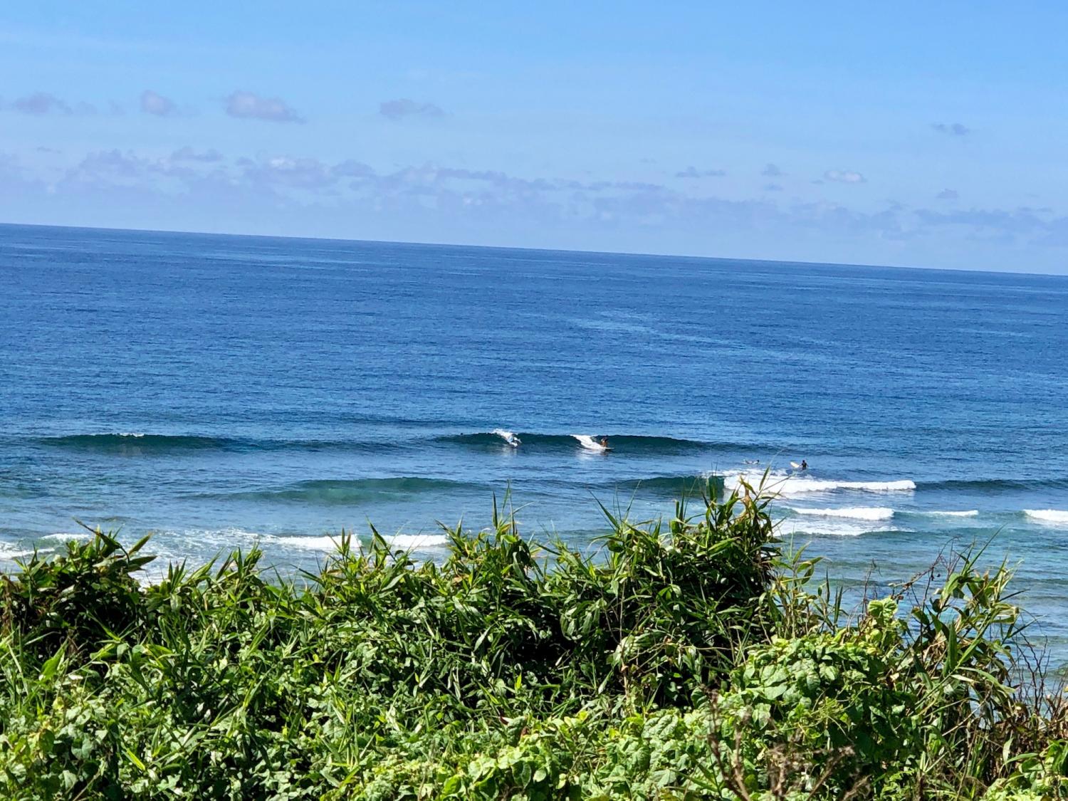 2019 July 23th suicide point wave information