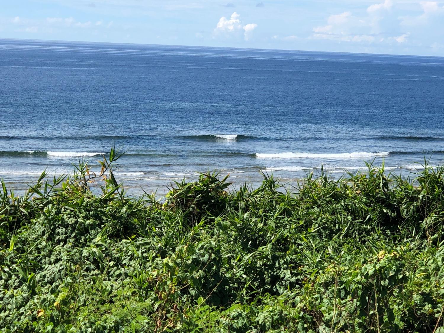 2019 July 26th suicide point wave information