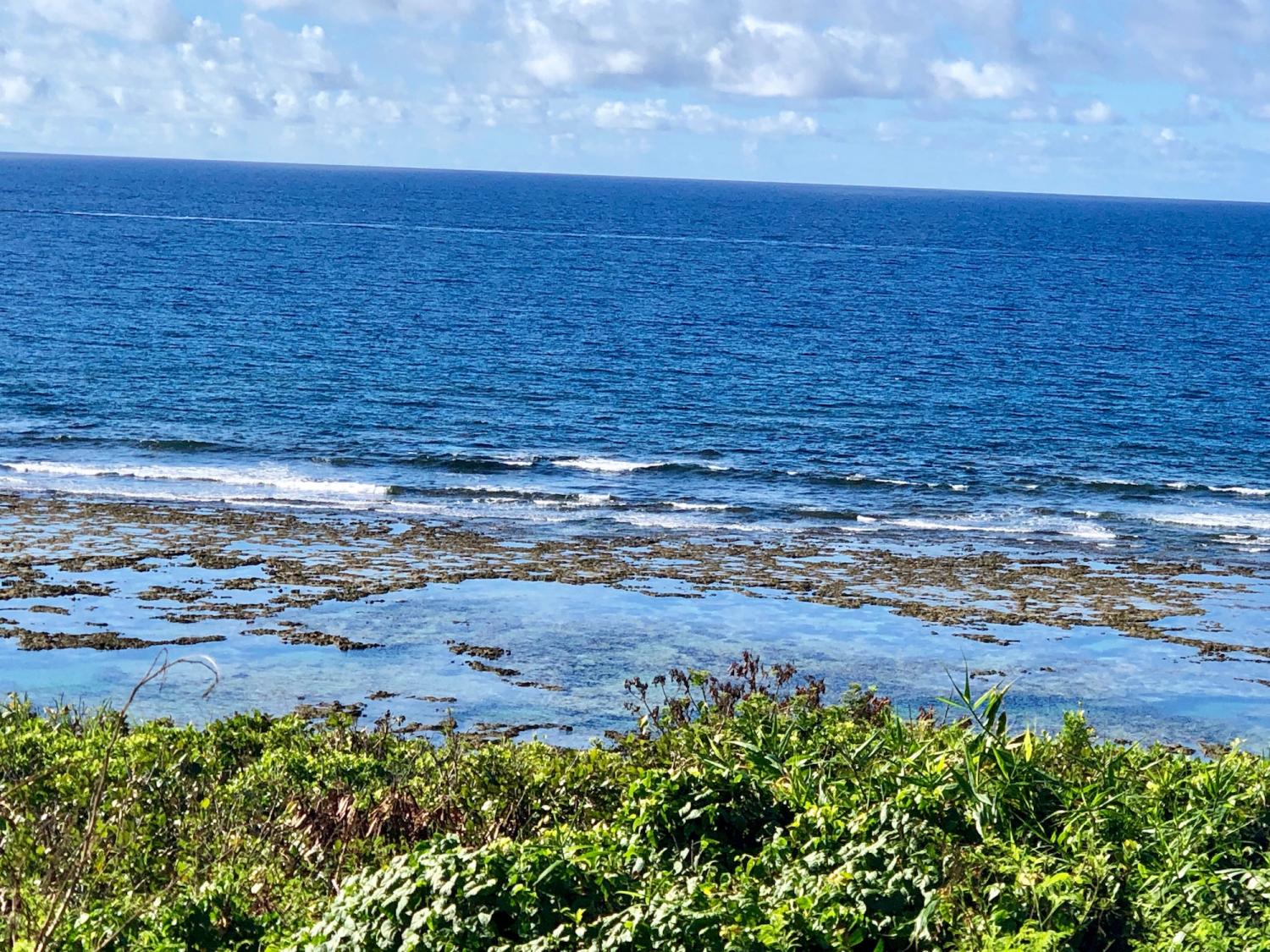 2019 July 28th suicide point wave information