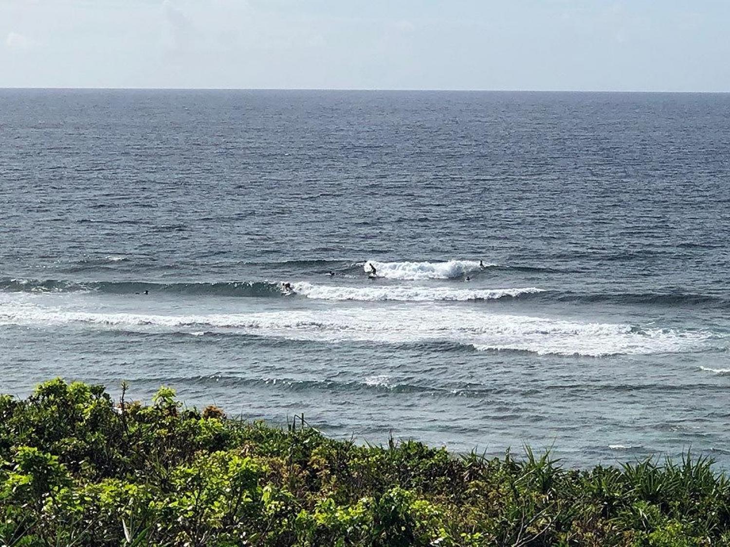 2019 Aug 1st suicide point wave information