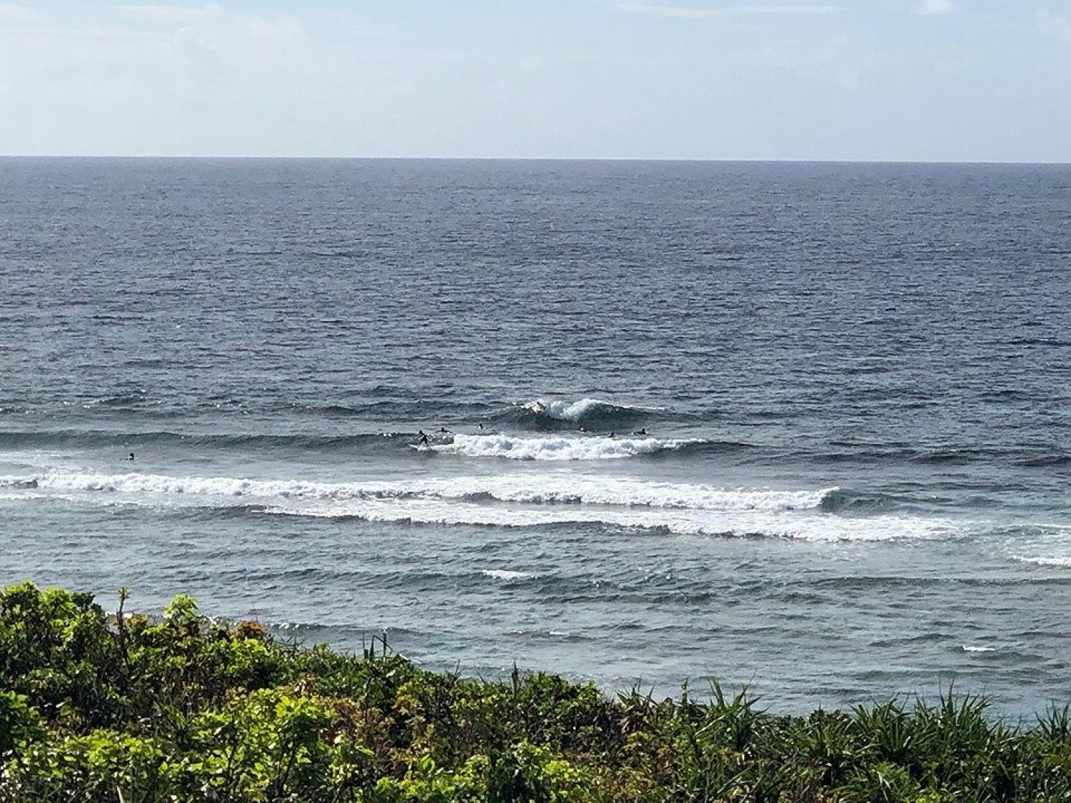 8月1日（木）スーサイド波情報 2