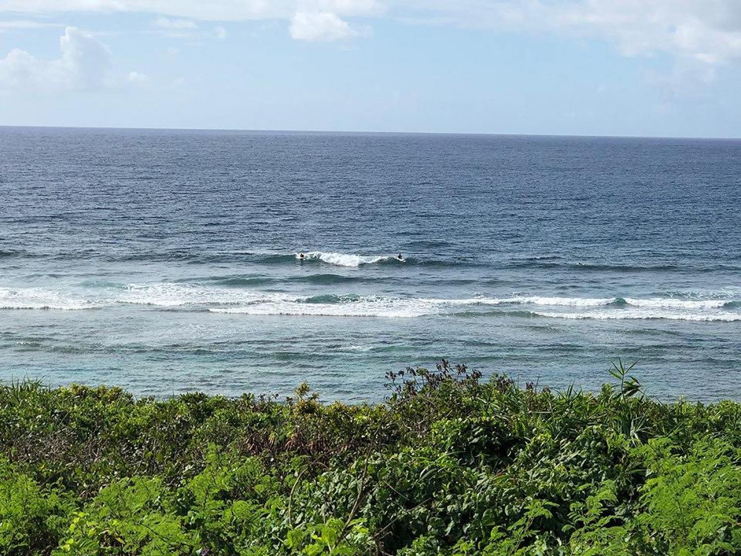 8月1日（木）スーサイド波情報 4