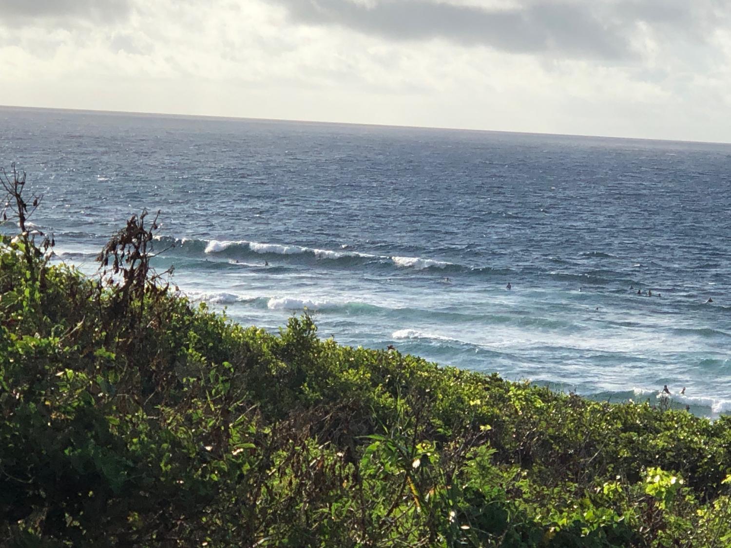 2019 Aug 3rd suicide point wave information